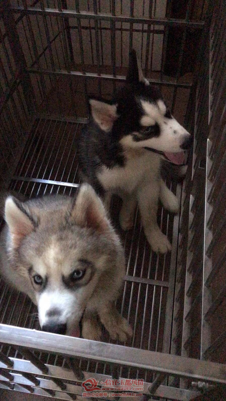 ����