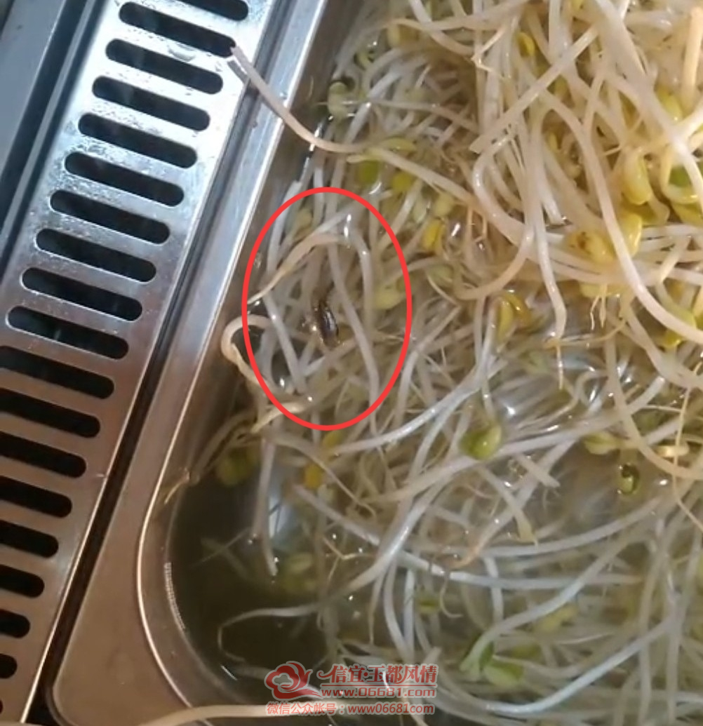 16238544695400.png