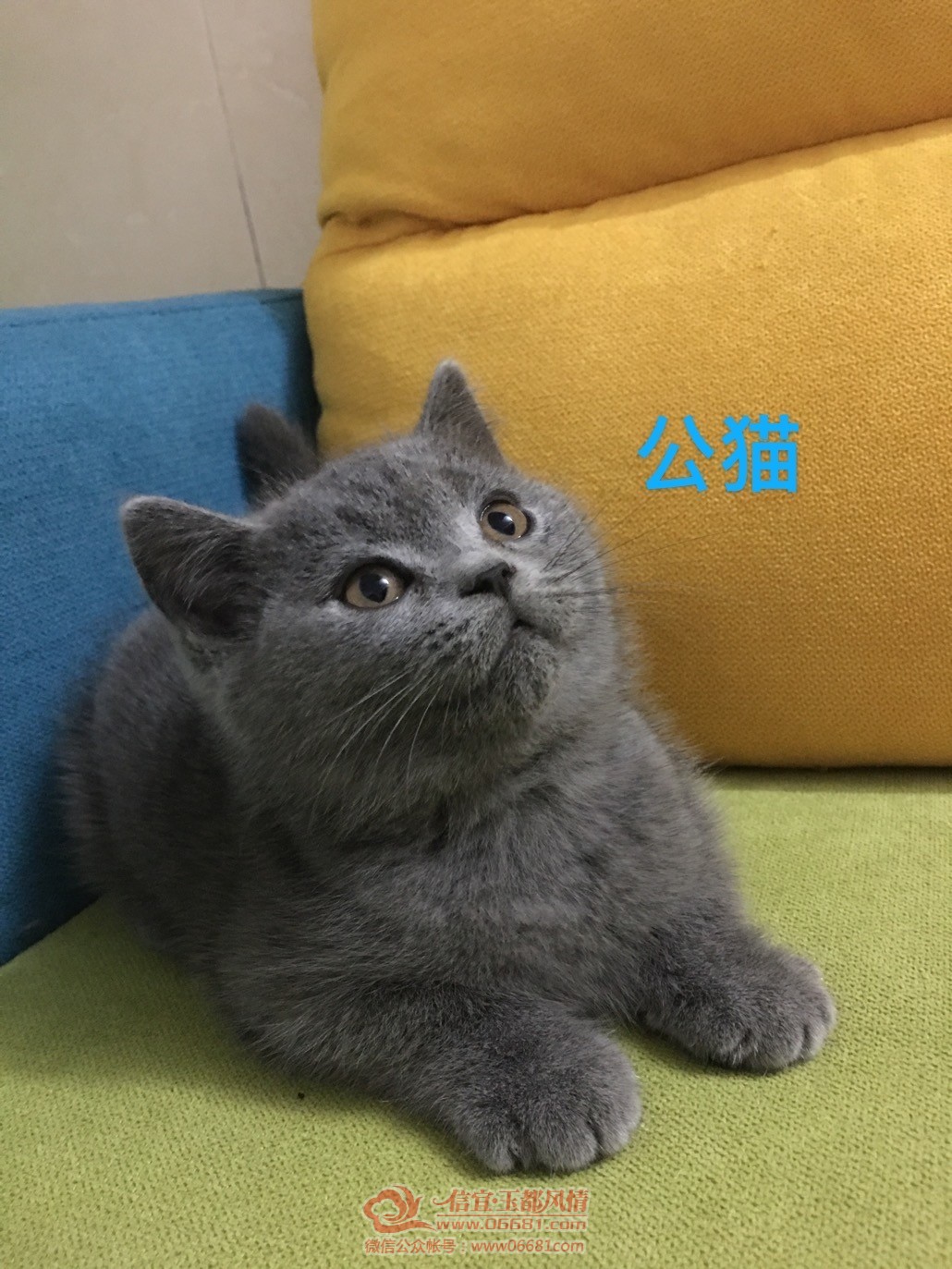 D81C3E22-EA7E-4739-BB12-019569681BD3.jpeg