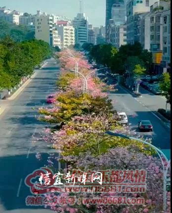 ΢��ͼƬ_20211213101123.jpg
