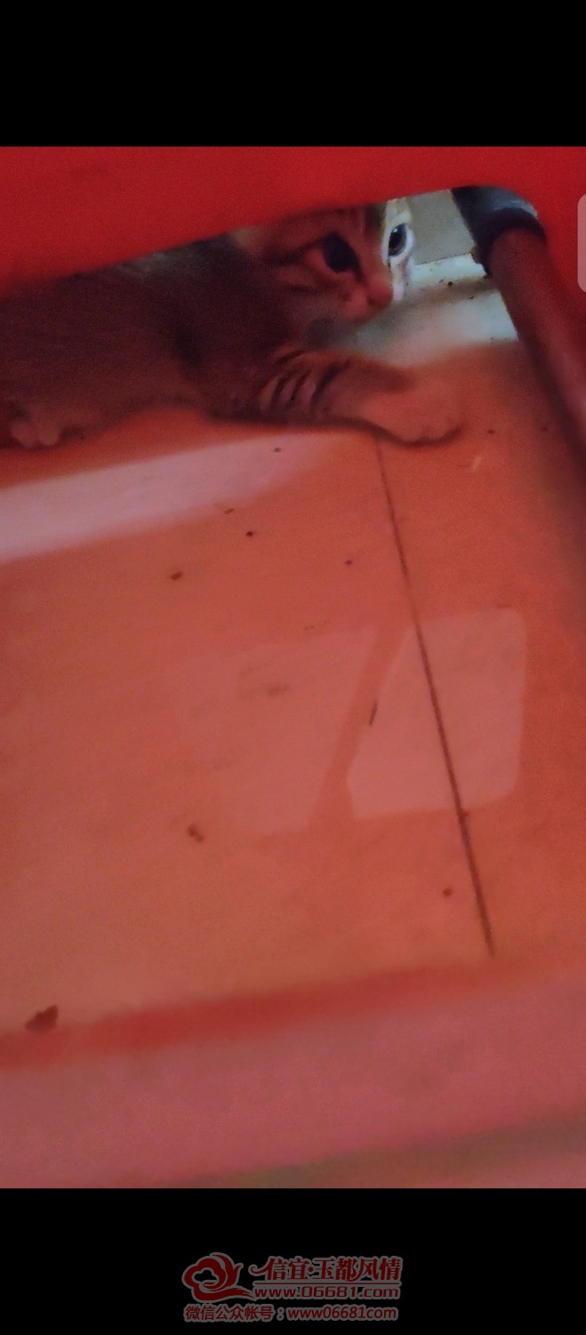 Screenshot_20211227_165157.jpg
