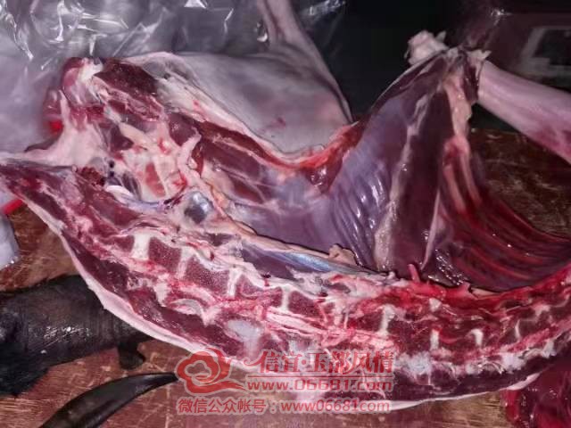 ΢��ͼƬ_20220112131248.jpg