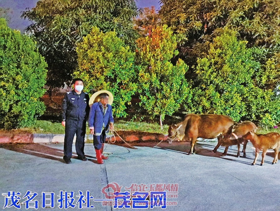 ���ٹ�·��������ţ  �񾯼�Ѱţ����