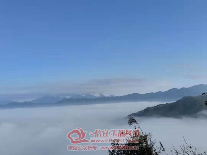 �������鶥�ƺ���ʫ�续