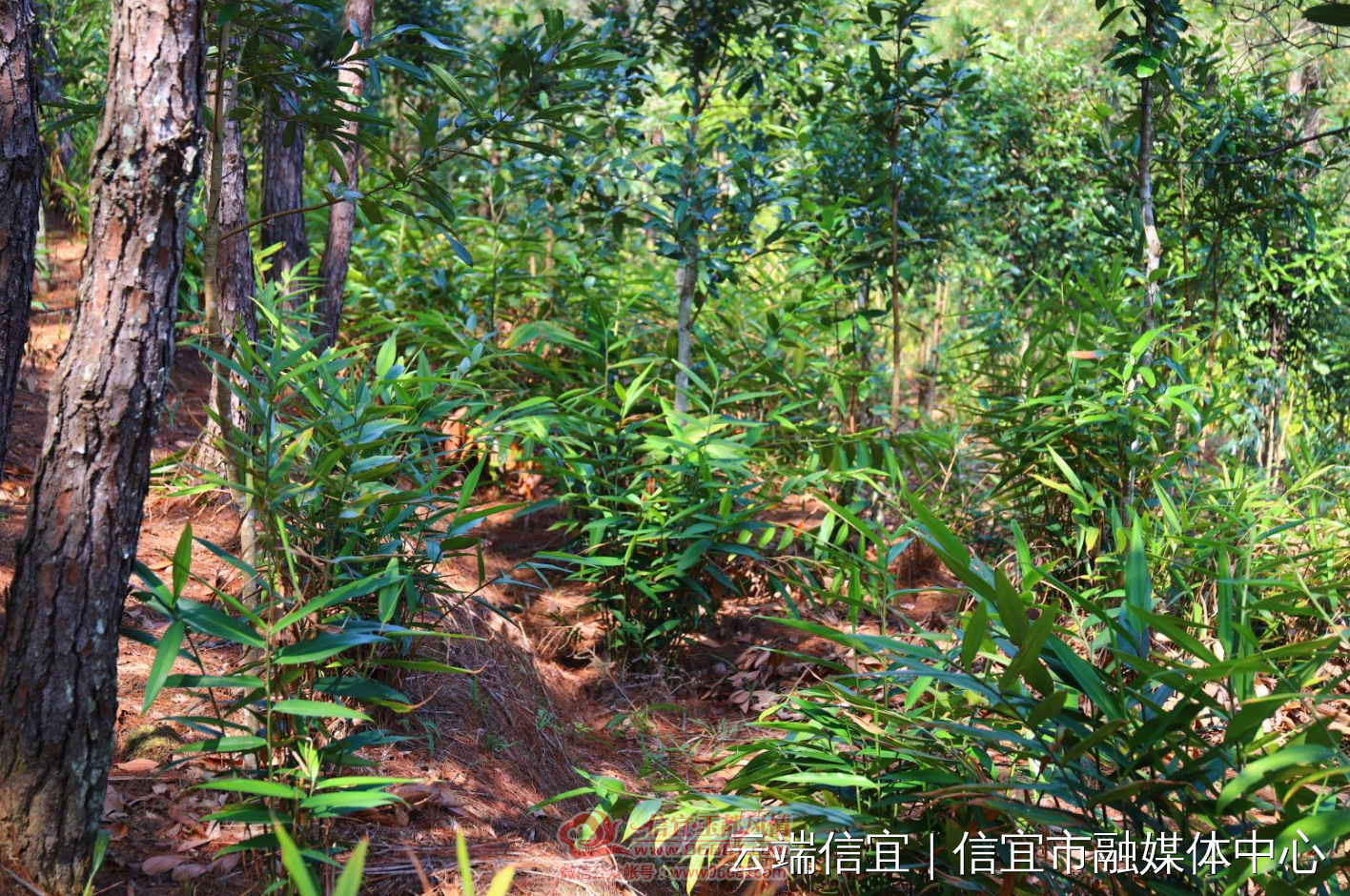 11.png