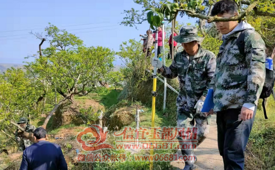 Ǯ������������Ŀ����541Ķ