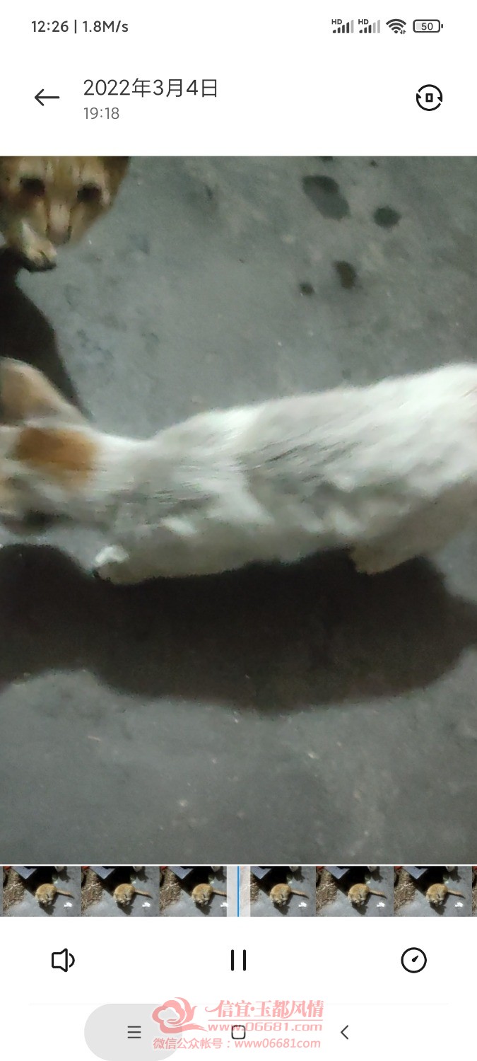Screenshot_2022-03-05-12-26-33-766_com.miui.video.jpg