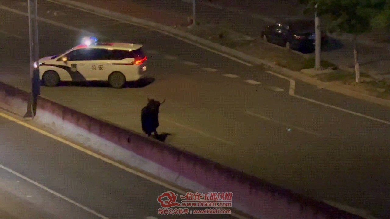 Videoframe_20220407_204913_com.huawei.himovie.jpg