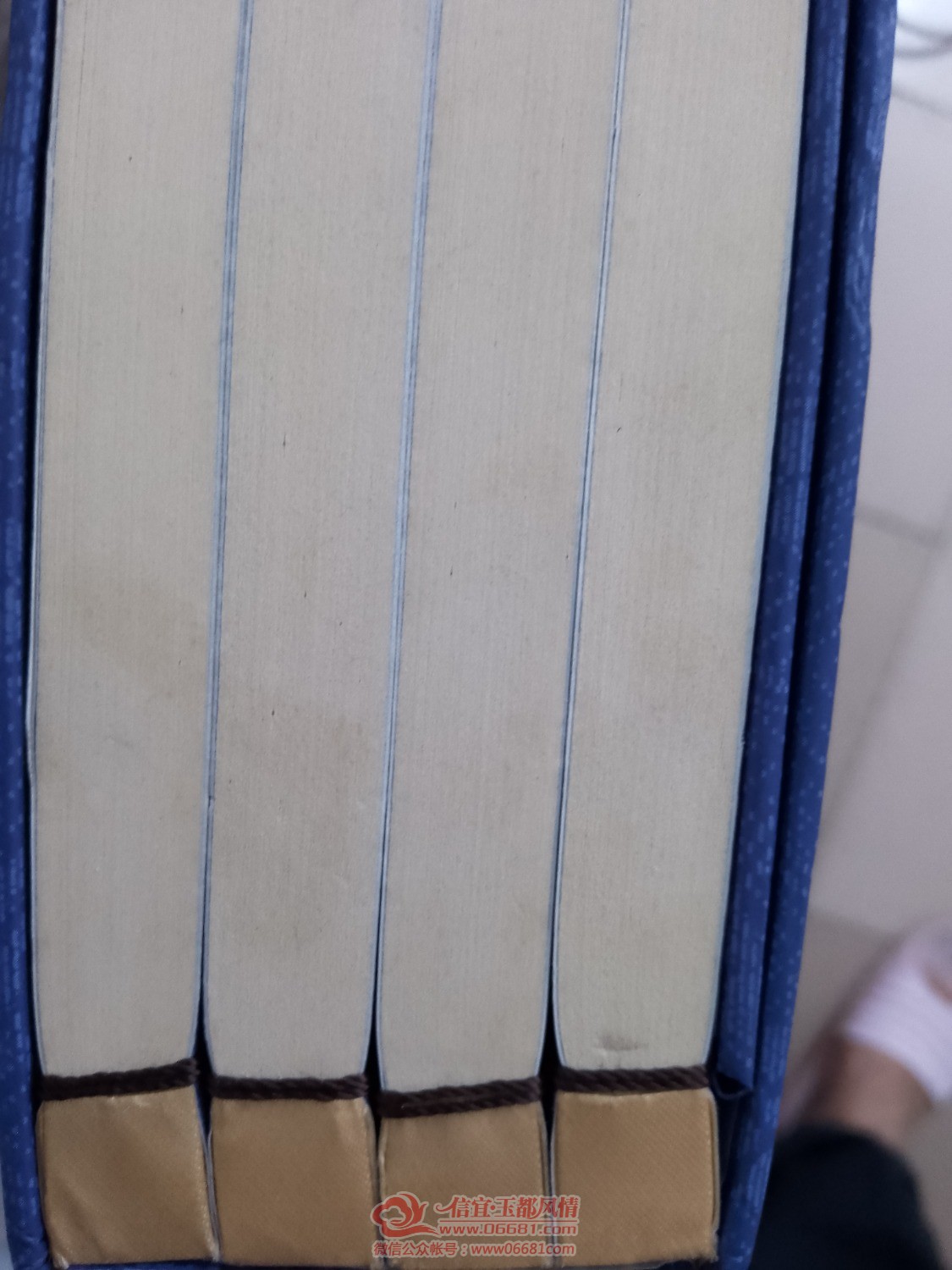1651375692138.jpg