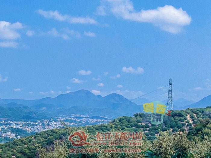 ���˽���������������+�׵硱ģʽ