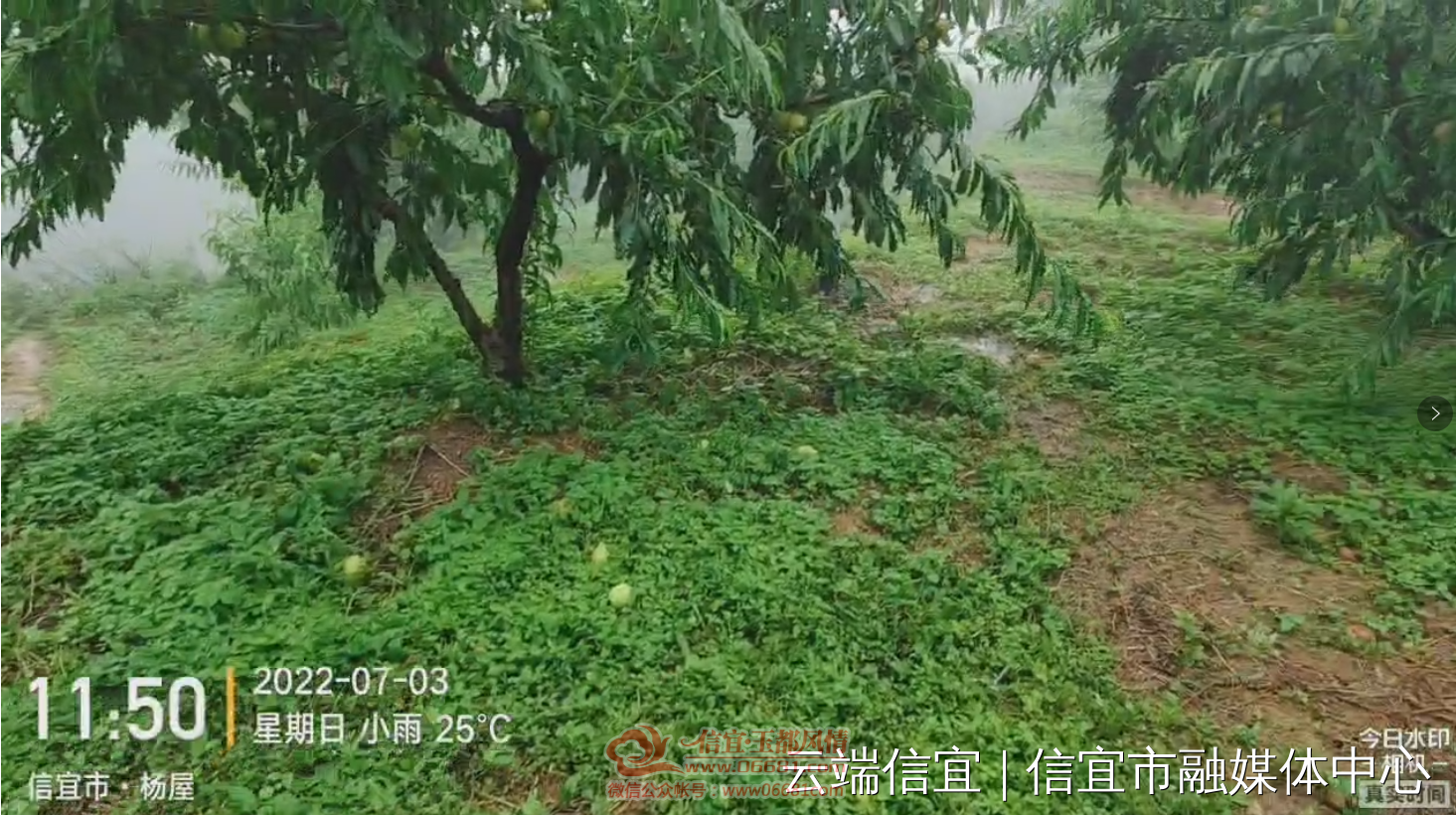 touchtv1656901599-3qr5nmzy7c29tzqh16569015974397191.png