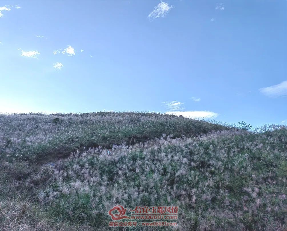 ΢��ͼƬ_20221102110328.jpg