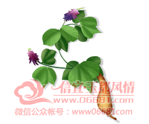 ΢��ͼƬ_20221220102859.png