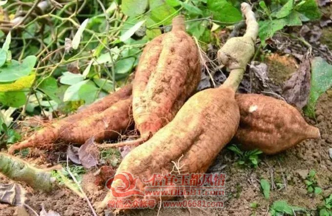 ΢��ͼƬ_20221220102759.jpg
