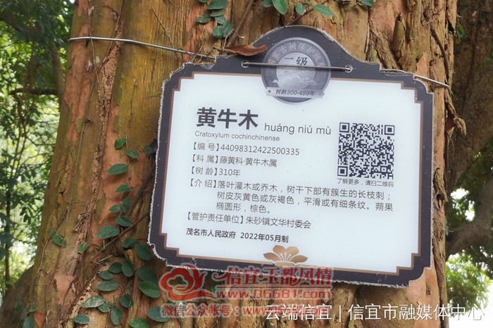 touchtv1672800001-cn13pt3wrwf2pewn16727999974427355.jpg