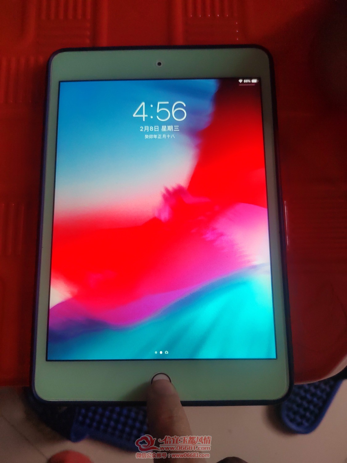 1675846606264.jpg