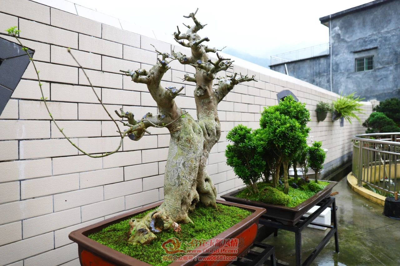 ��ˮһ�����辰��Ǯ��