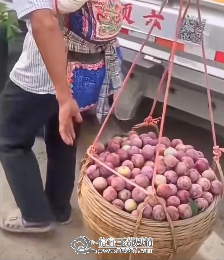 ΢��ͼƬ_20230509110115.jpg