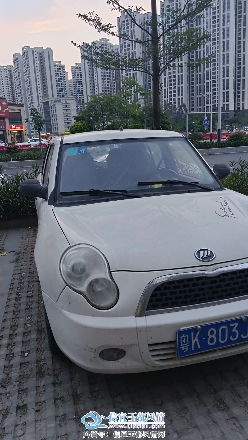 081824wtnjg1i39t946cm4.jpg