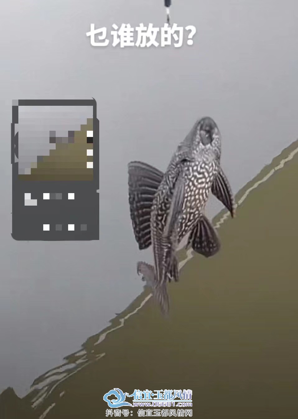 ΢��ͼƬ_20230608112320.jpg