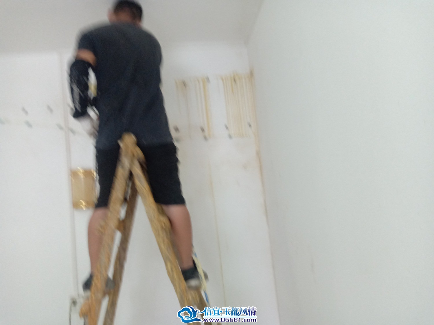 IMG20230706113054.jpg