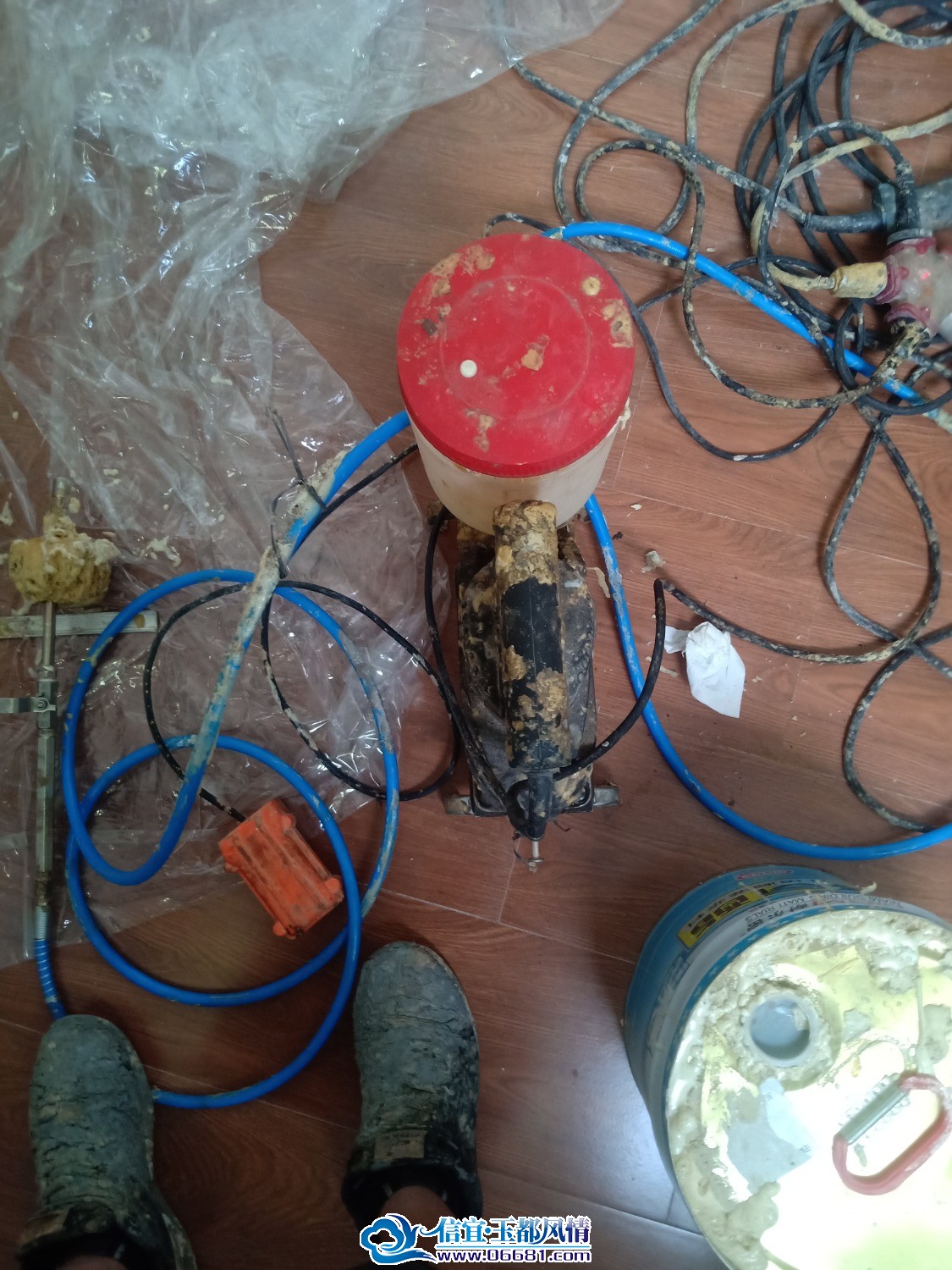 IMG20230619164958.jpg