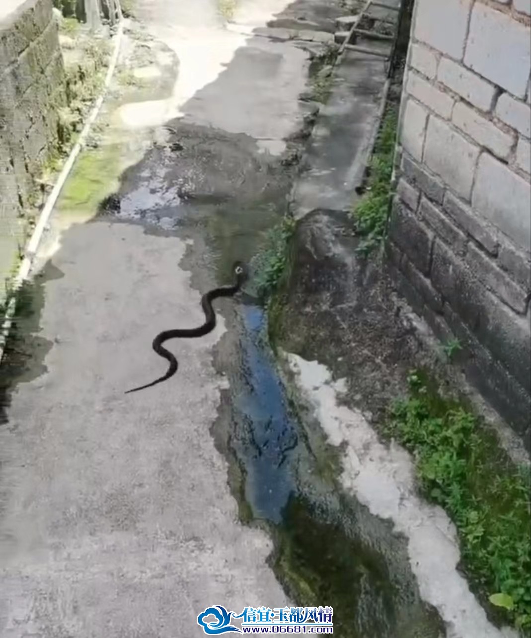 ΢��ͼƬ_20230710110512.jpg