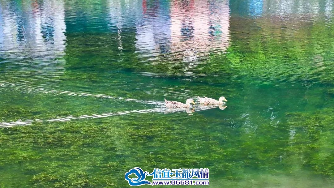 ΢��ͼƬ_20230905172201_2.jpg