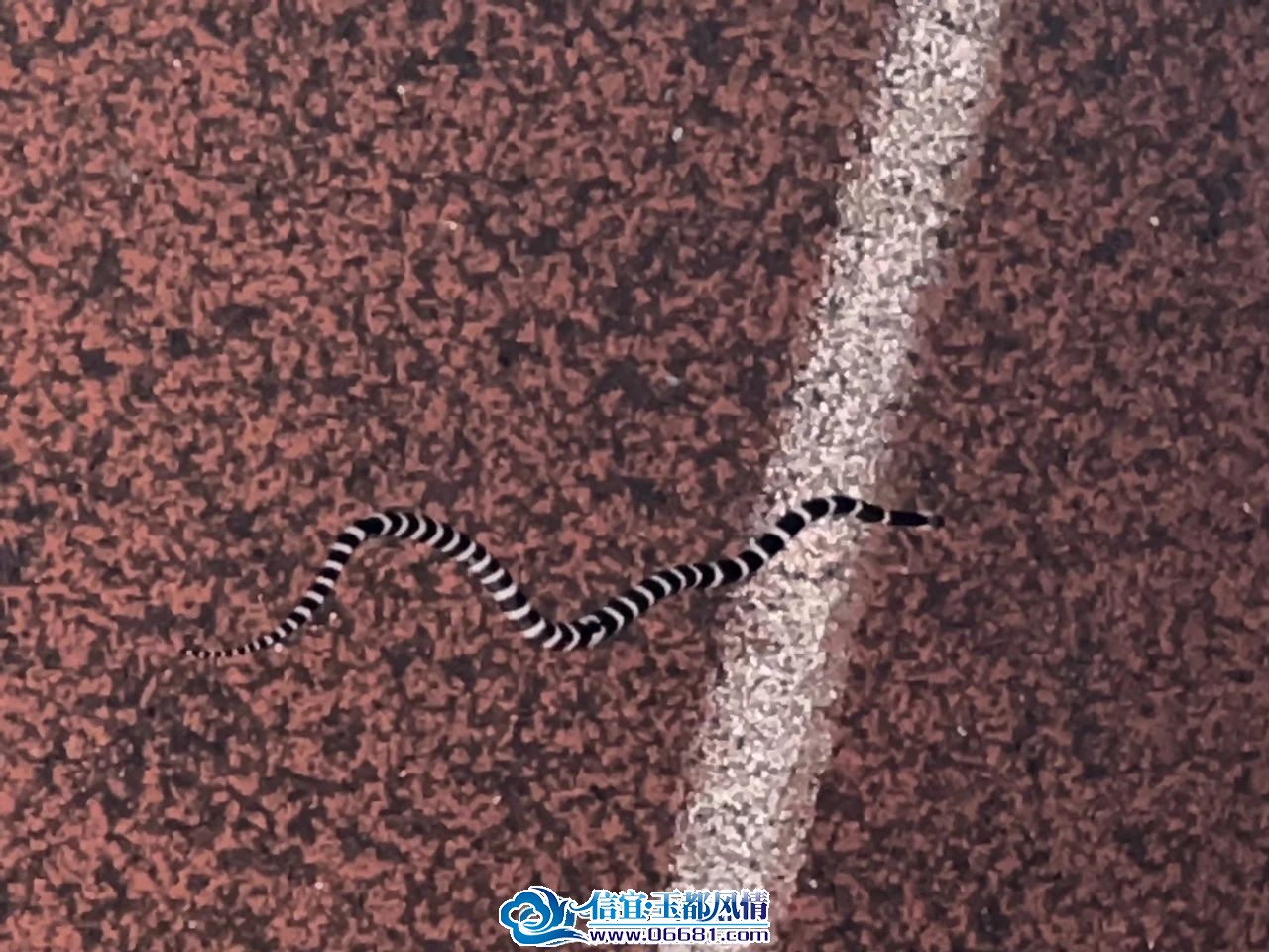 ΢��ͼƬ_20230914105832.jpg
