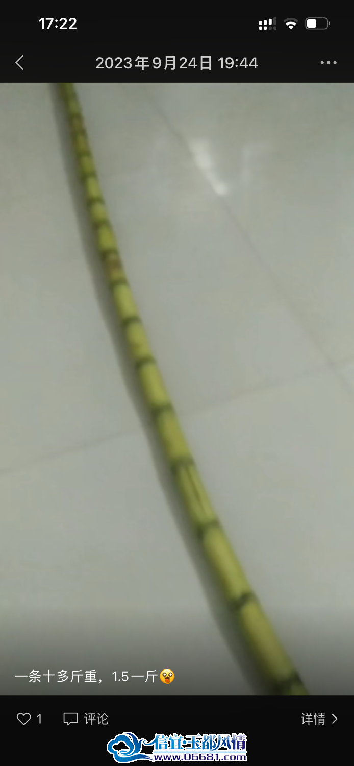 F5DBF26B-9109-4695-A0DE-97A910834197.png