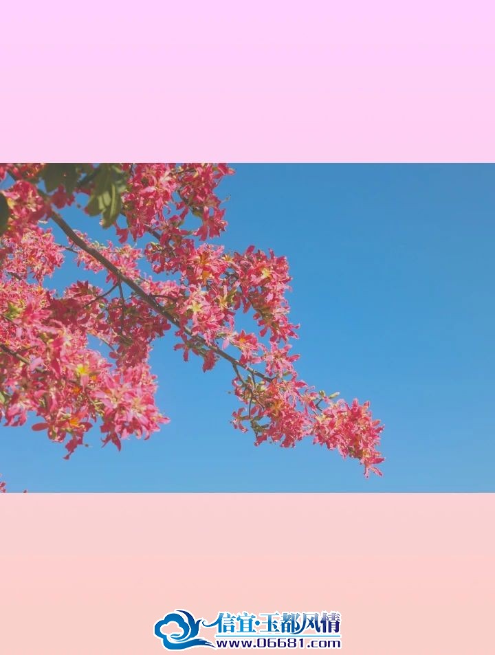 ΢��ͼƬ_20231123093218.jpg