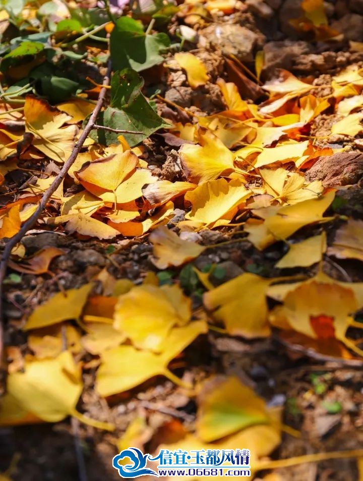 ΢��ͼƬ_20231201100751.jpg