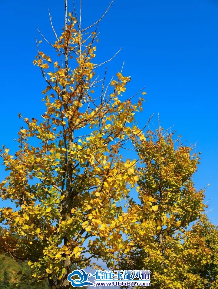 ΢��ͼƬ_20231201100748.jpg