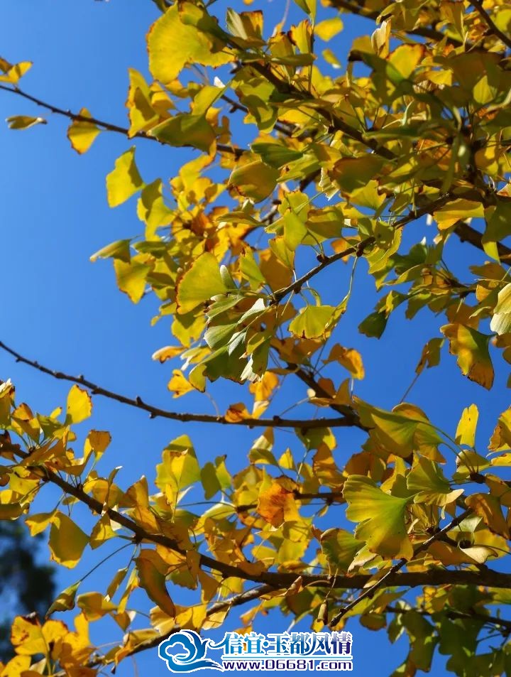 ΢��ͼƬ_20231201100735.jpg