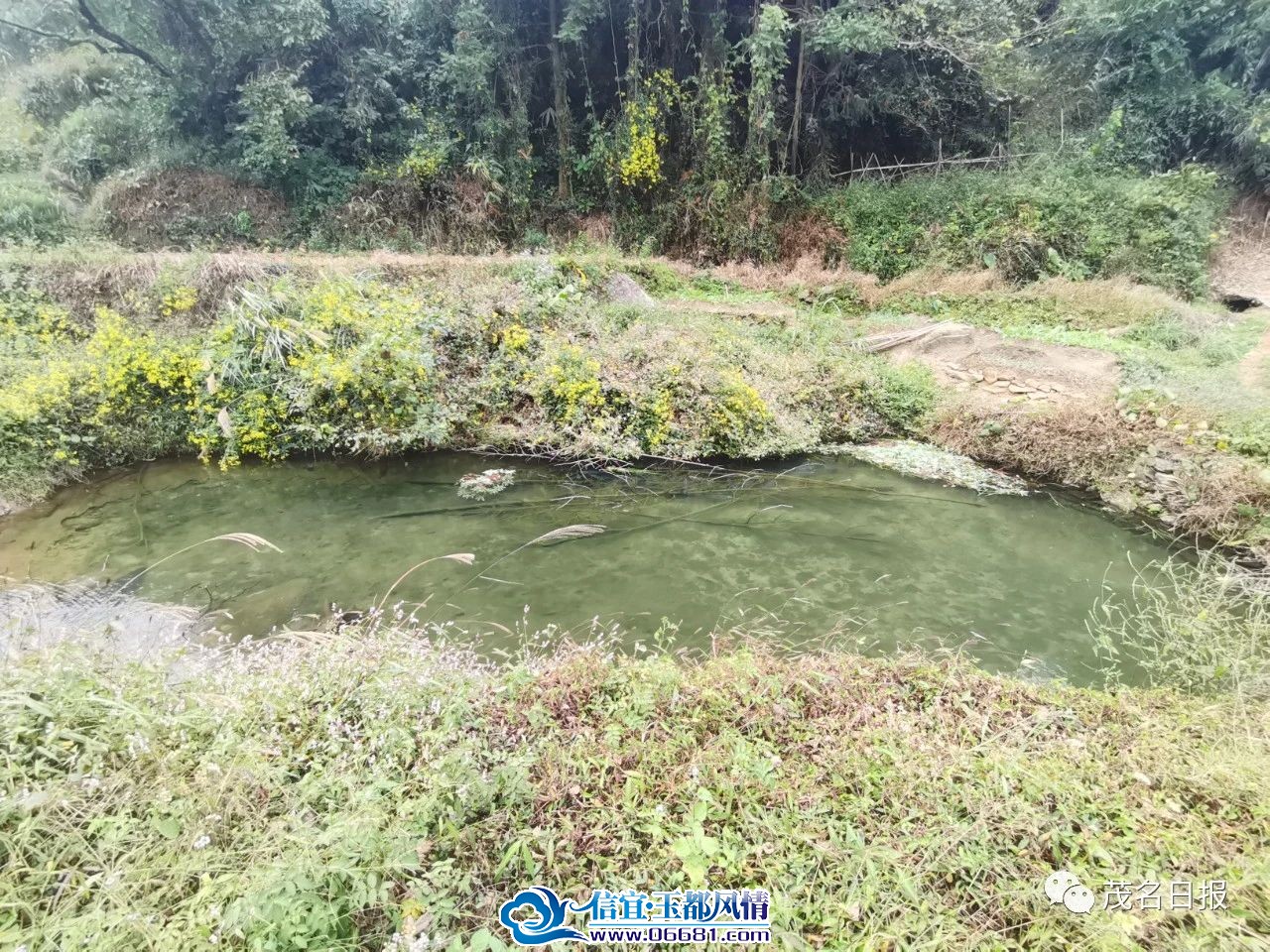 ΢��ͼƬ_20231205100534.jpg