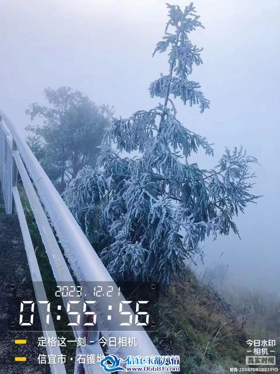 ΢��ͼƬ_20231222094643.jpg