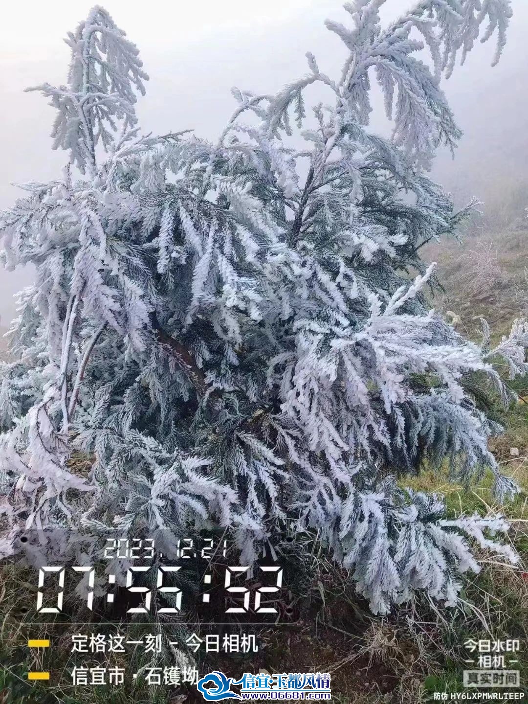 �� ����Ǯ�Źұ�