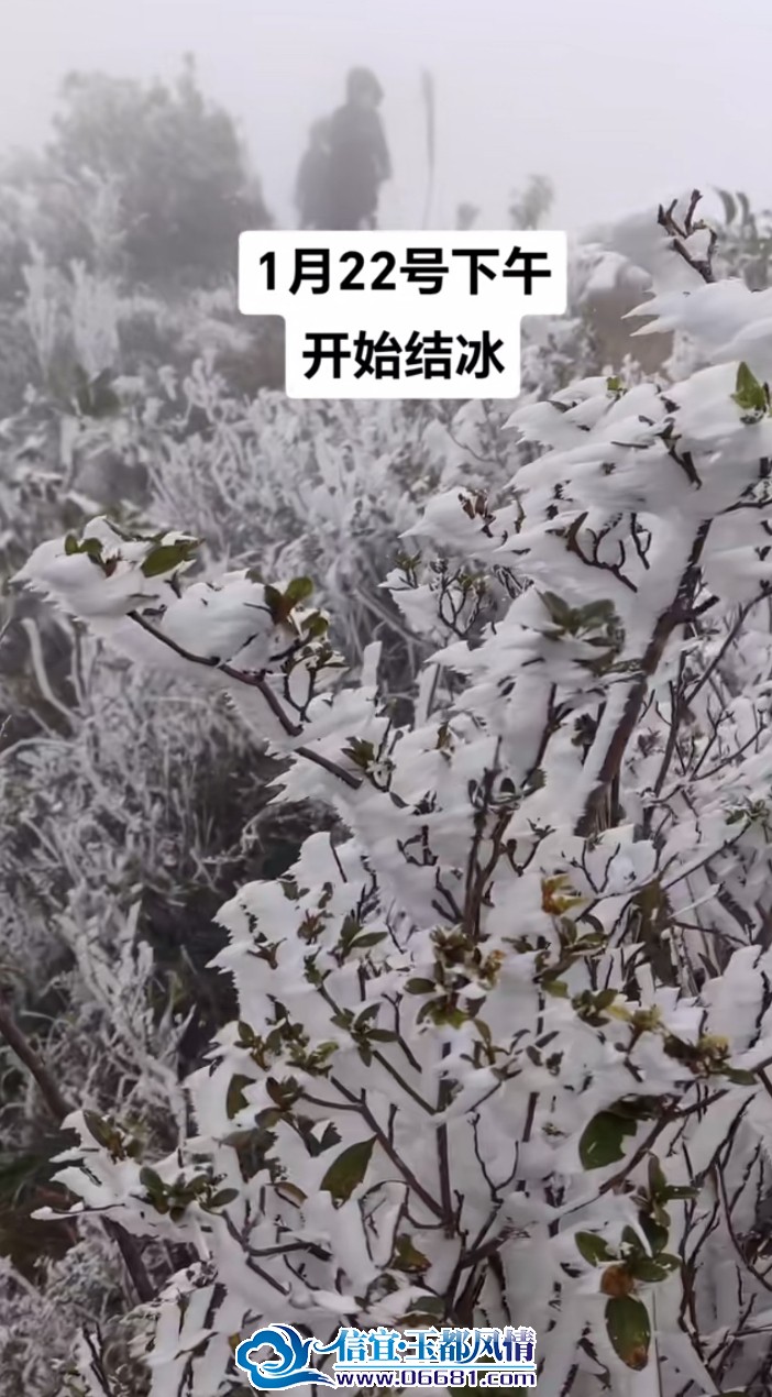 ΢�Ž�ͼ_20240123100409.png