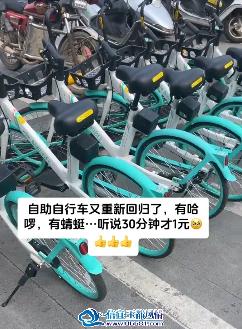 ΢�Ž�ͼ_20240316114605.png