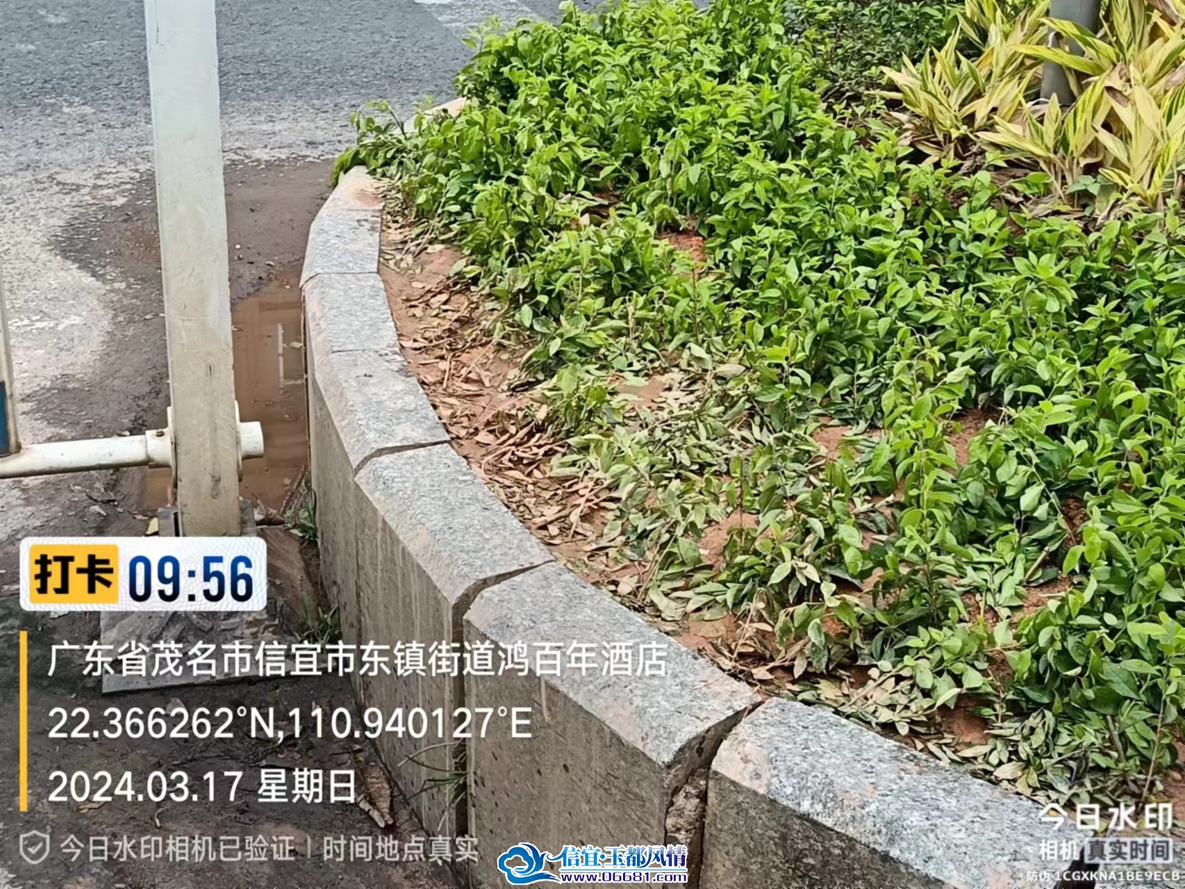 ΢��ͼƬ_20240318094401.jpg