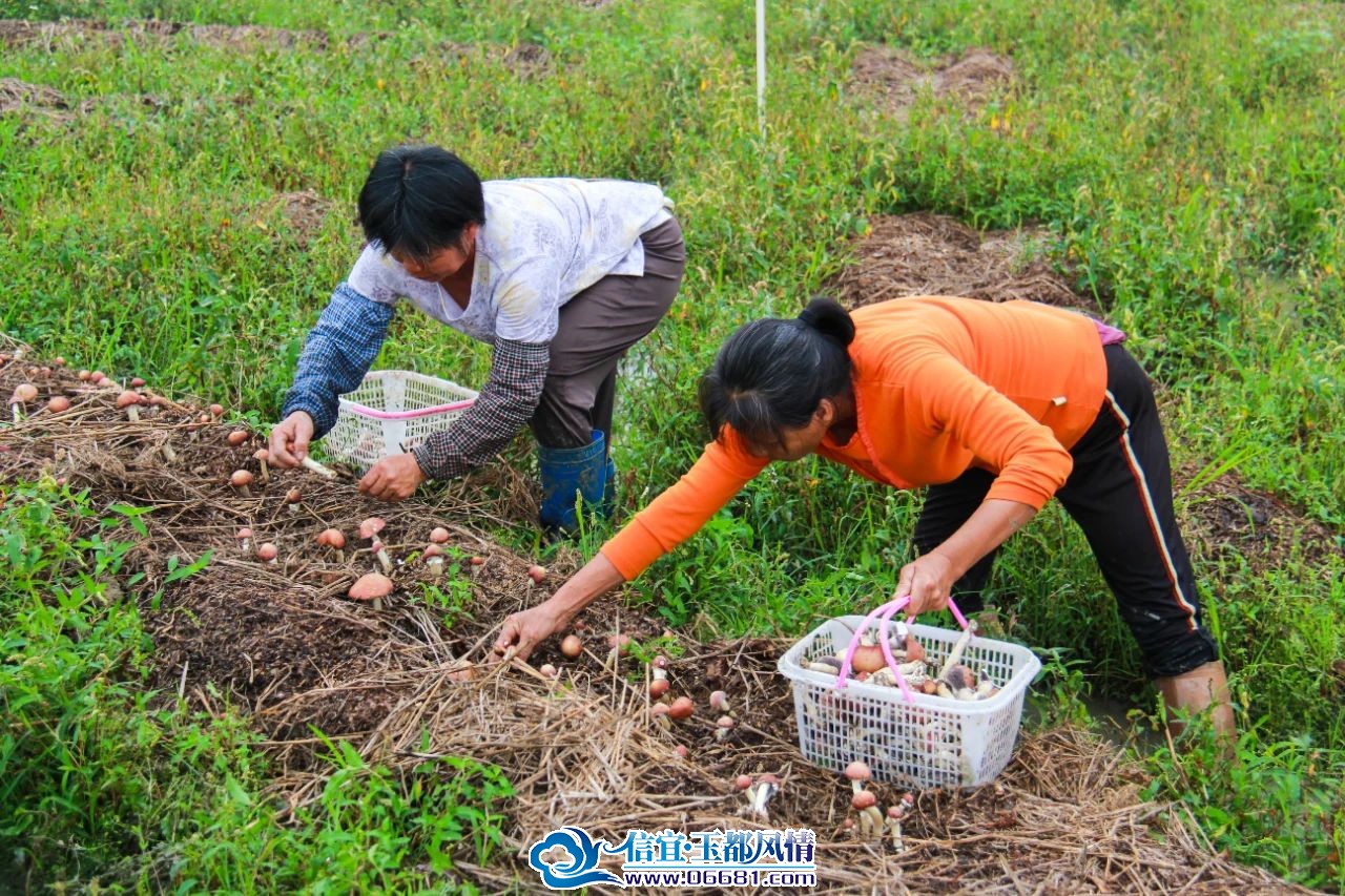 ˮ�ں����״���� �ܲ�������ǧ����