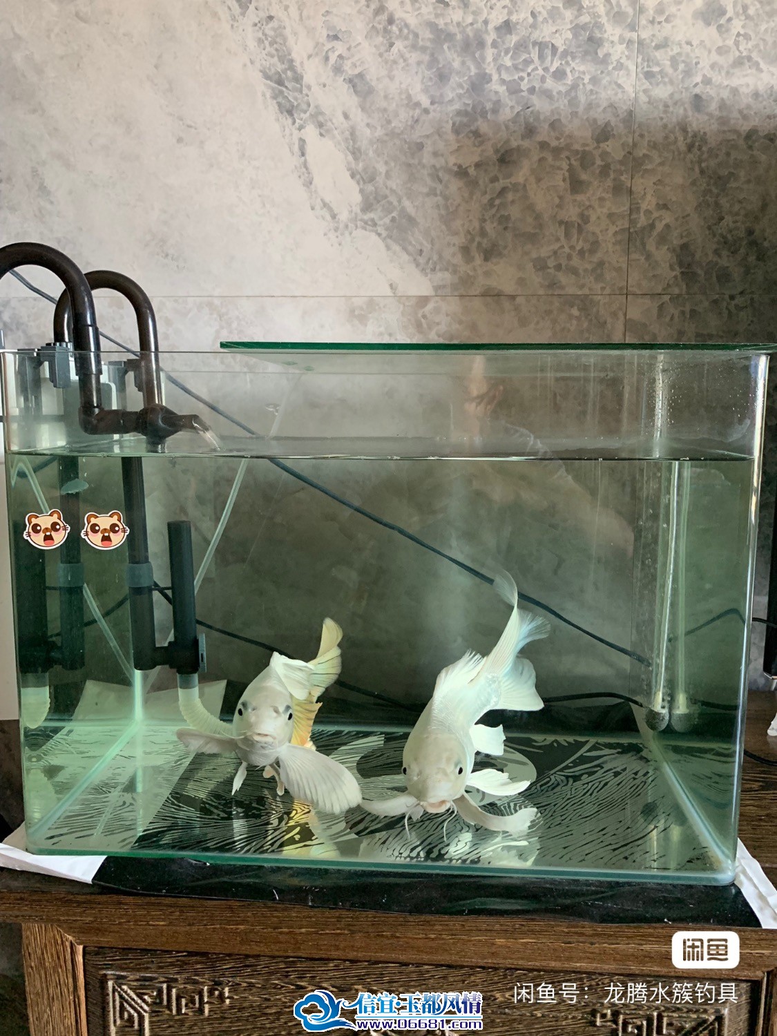 646A9FE5-E746-474B-803F-0A5DF6F49E26.jpeg