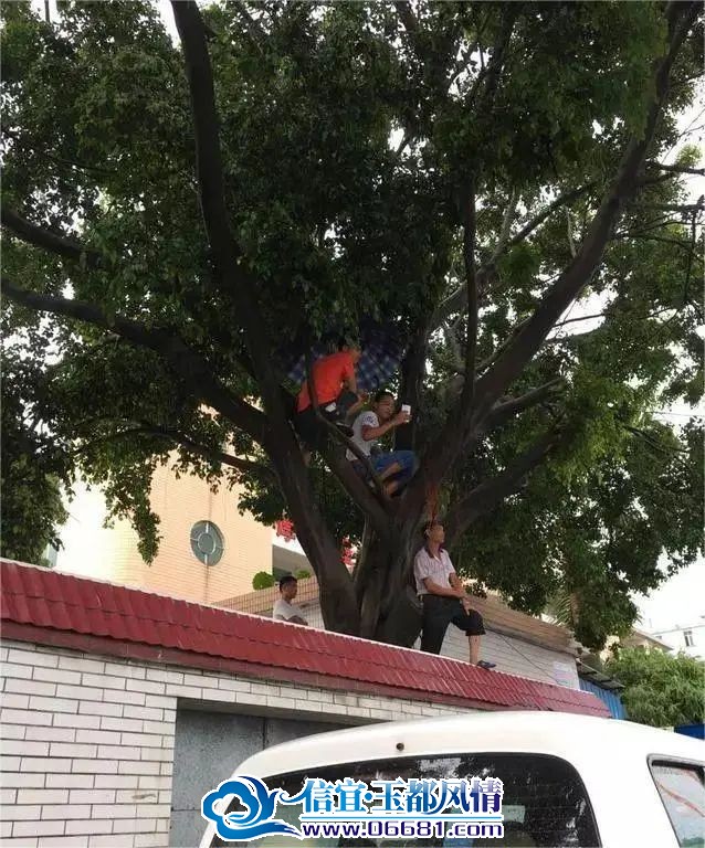΢��ͼƬ_20240608142421.jpg