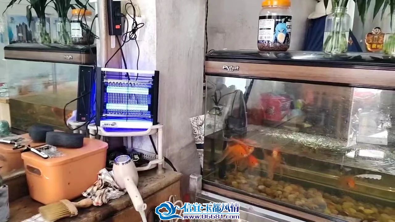 ΢��ͼƬ_20240626094229.jpg