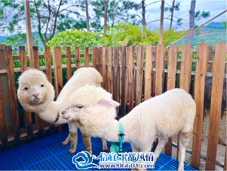 ΢��ͼƬ_20240711100018.png