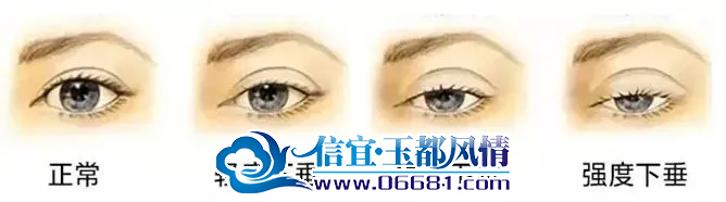΢��ͼƬ_20241015112606.png