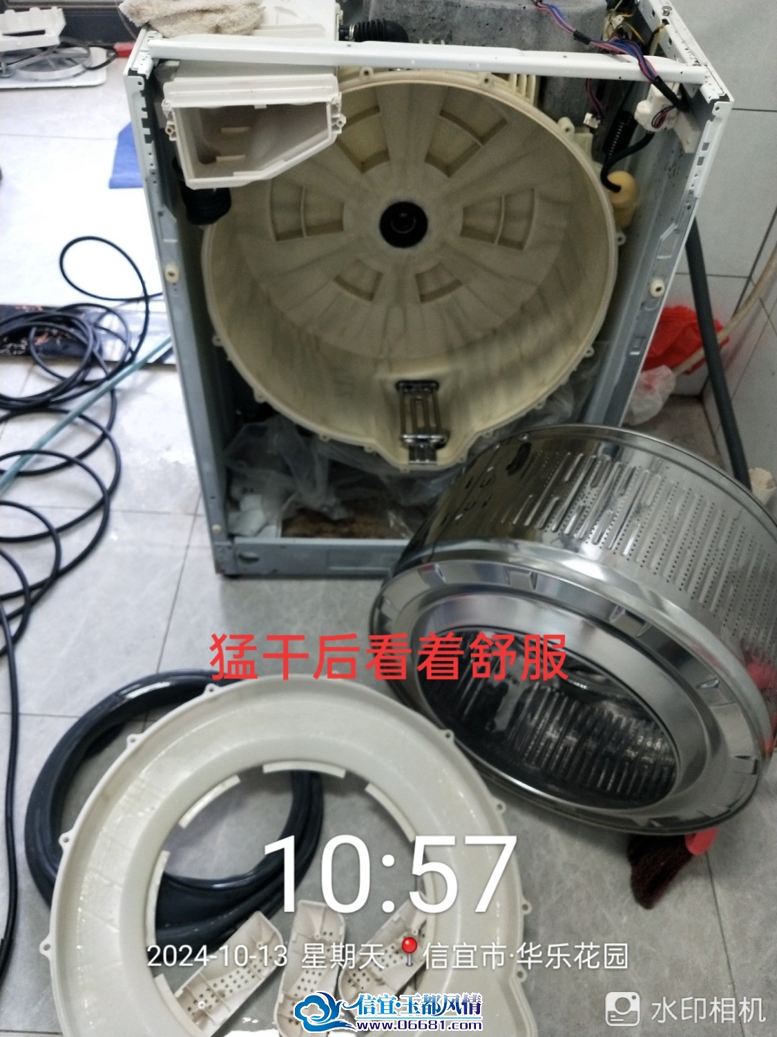 IMG_20241016_071359.jpg