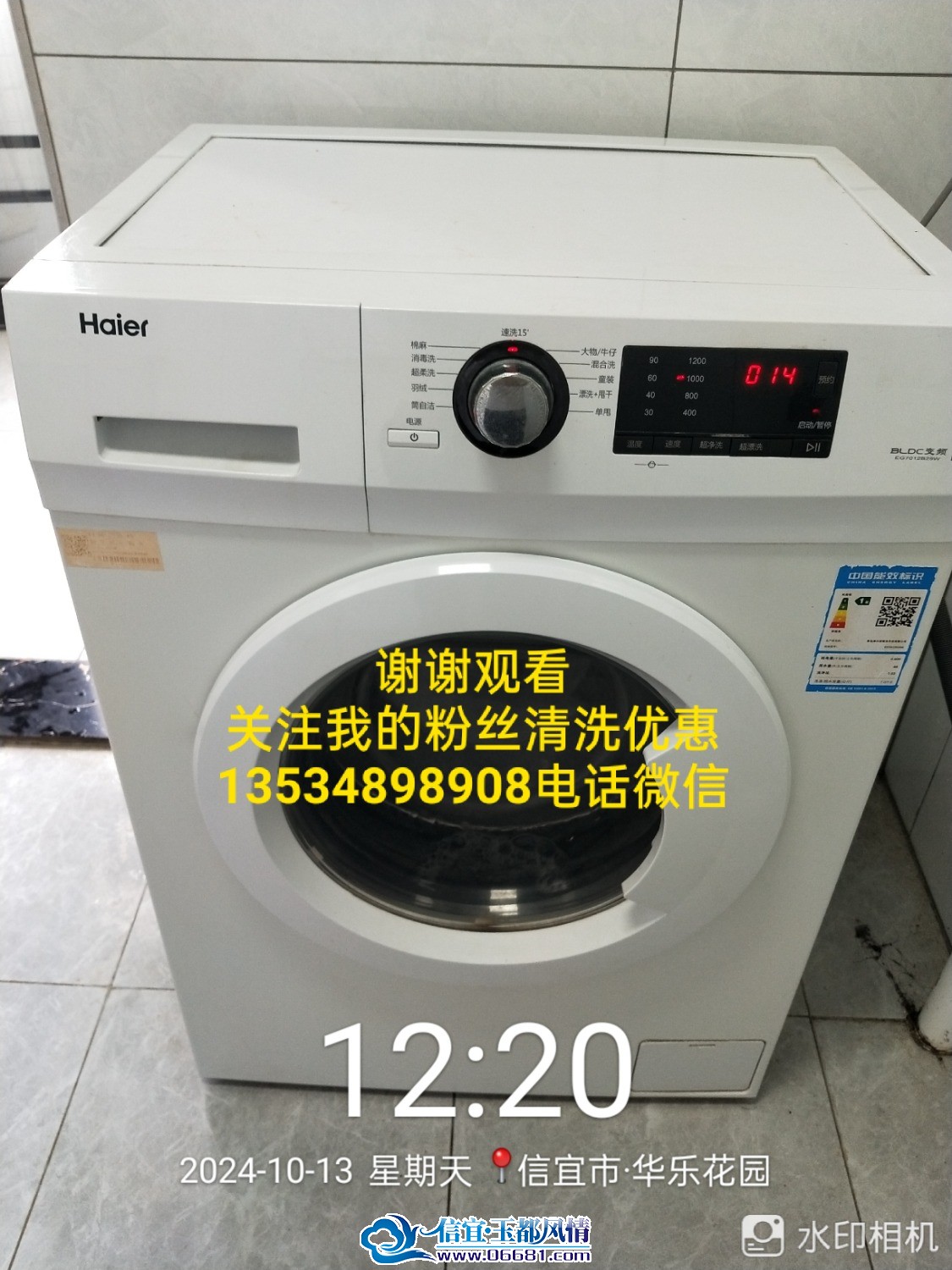 IMG_20241016_071836.jpg