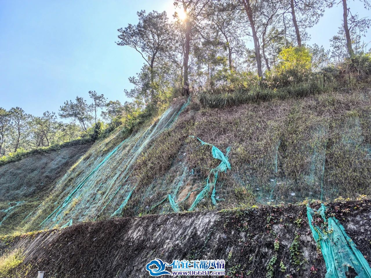 ΢��ͼƬ_20241118100806.jpg