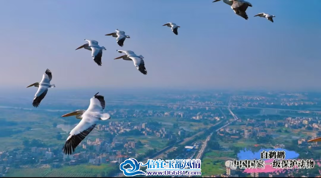 ΢��ͼƬ_20241121105648.png